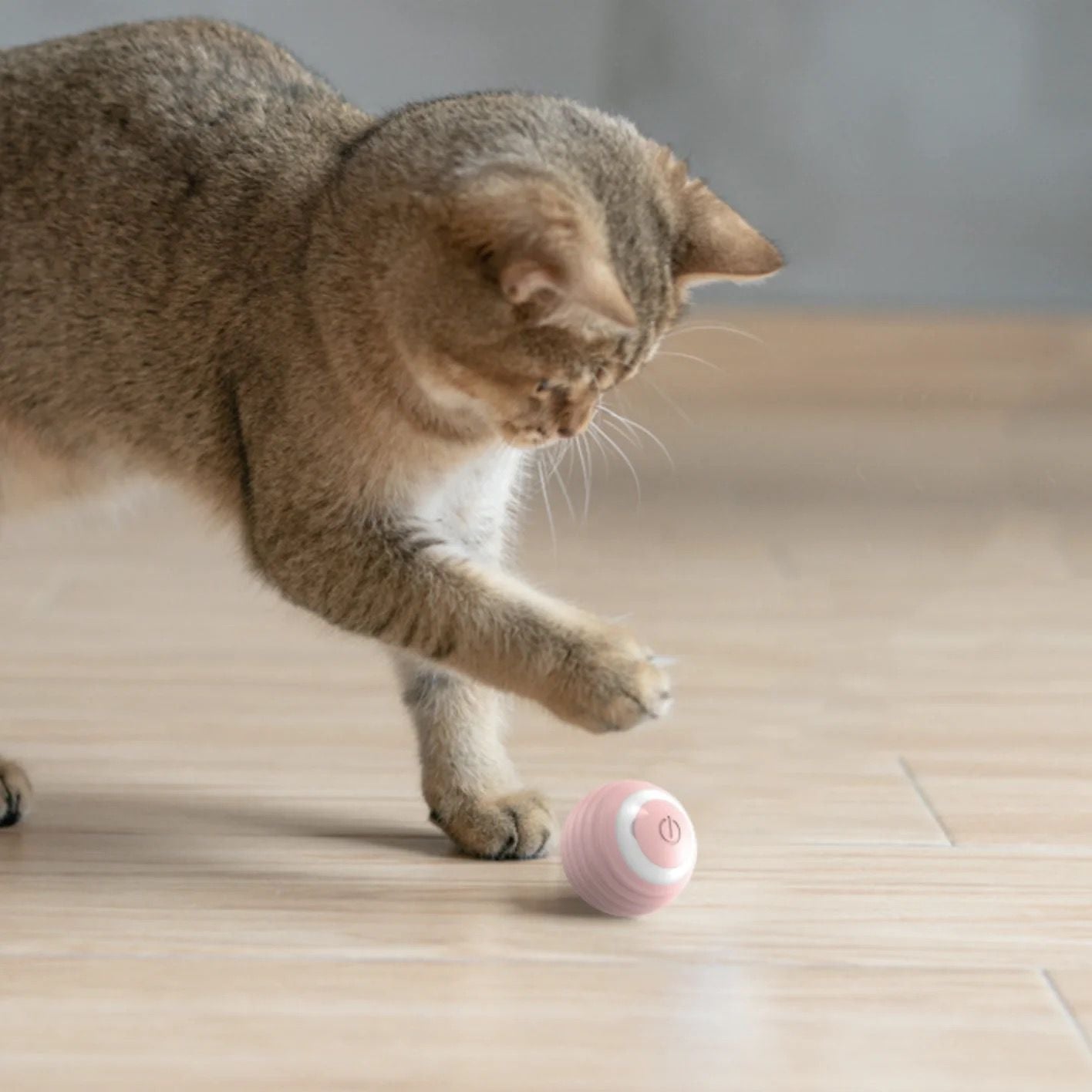 PELOTA INTELIGENTE PARA GATOS Y PERROS