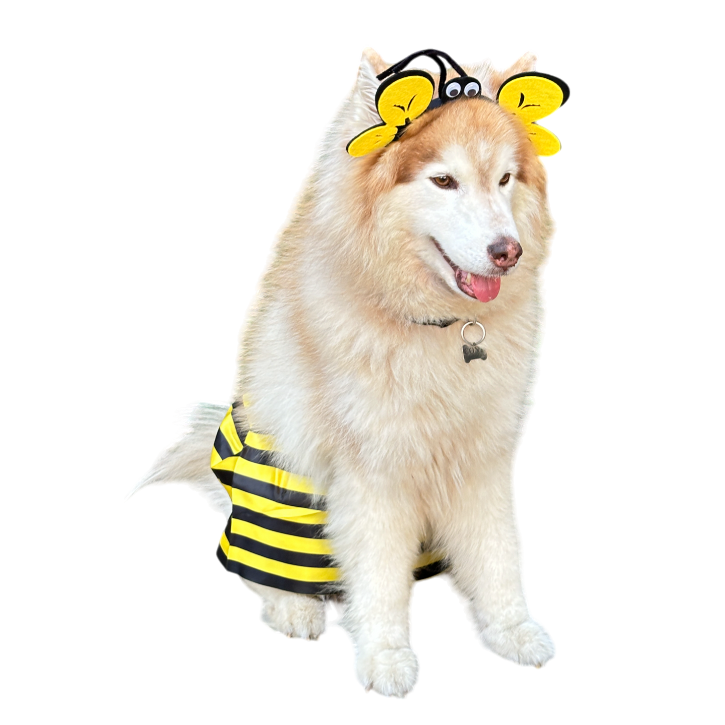 DISFRAZ DE ABEJA PARA PERROS