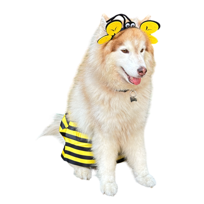 DISFRAZ DE ABEJA PARA PERROS