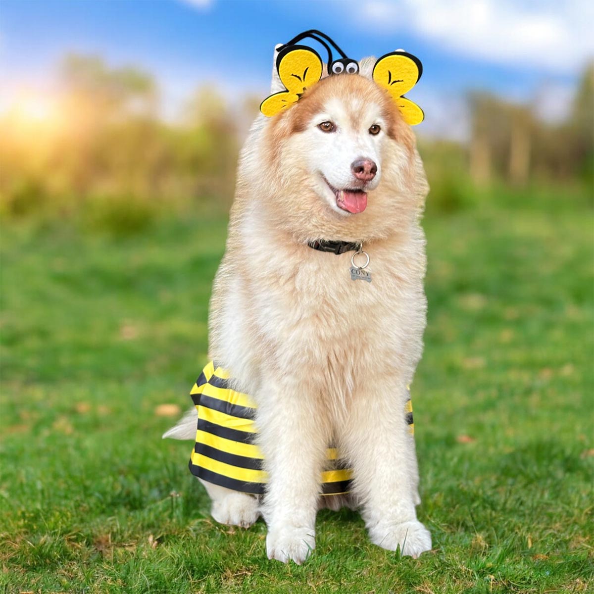 DISFRAZ DE ABEJA PARA PERROS