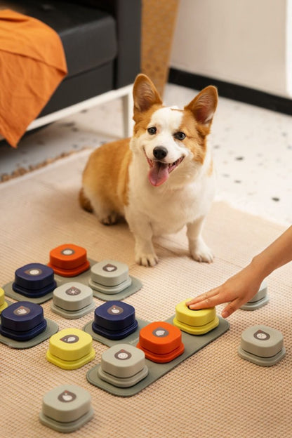 BOTÓN ENTRENAMIENTO PARA PERROS